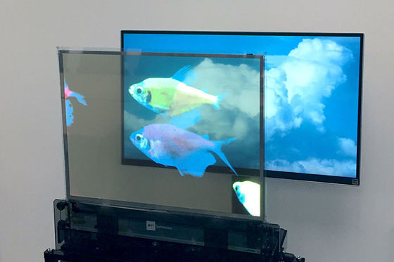 OLED-Bildschirm mit hoher Helligkeit Transparentes Display, Farbklares OLED-Bildschirm Mehrzweck