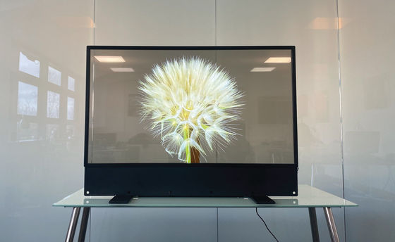 Hochauflösende OLED-Transparente Anzeige Durch OLED sehen